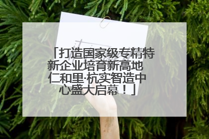 打造国家级专精特新企业培育新高地 仁和里·杭实智造中心盛大启幕！