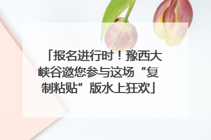 报名进行时！豫西大峡谷邀您参与这场“复制粘贴”版水上狂欢