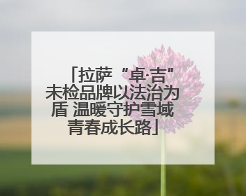 拉萨“卓·吉”未检品牌以法治为盾 温暖守护雪域青春成长路