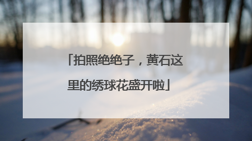 拍照绝绝子，黄石这里的绣球花盛开啦