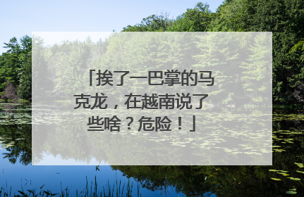 挨了一巴掌的马克龙，在越南说了些啥？危险！