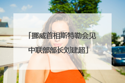 挪威首相斯特勒会见中联部部长刘建超