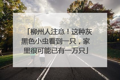 柳州人注意！这种灰黑色小虫看到一只，家里很可能已有一万只