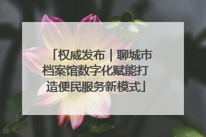 权威发布｜聊城市档案馆数字化赋能打造便民服务新模式