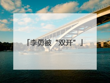李勇被“双开”
