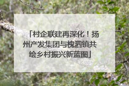 村企联建再深化！扬州产发集团与槐泗镇共绘乡村振兴新蓝图