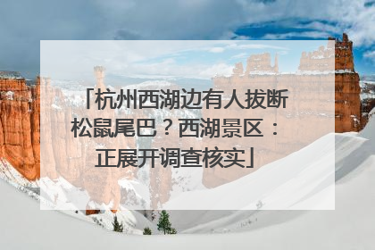 杭州西湖边有人拔断松鼠尾巴？西湖景区：正展开调查核实