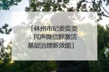 林州市纪委监委：民声微信群激活基层治理新效能