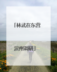 林武在东营滨州调研