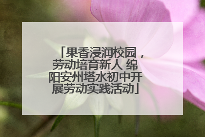 果香浸润校园，劳动培育新人 绵阳安州塔水初中开展劳动实践活动
