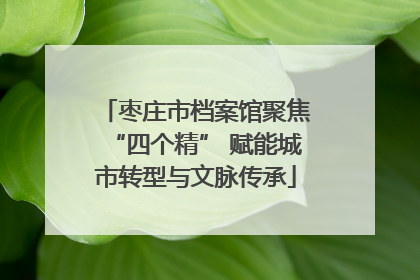 枣庄市档案馆聚焦“四个精” 赋能城市转型与文脉传承