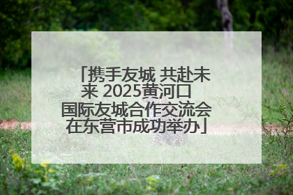 携手友城 共赴未来 2025黄河口国际友城合作交流会在东营市成功举办