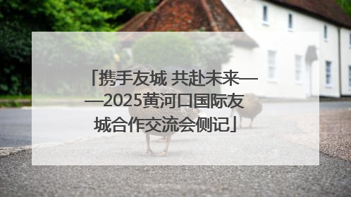 携手友城 共赴未来——2025黄河口国际友城合作交流会侧记