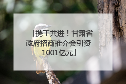 携手共进！甘肃省政府招商推介会引资1001亿元