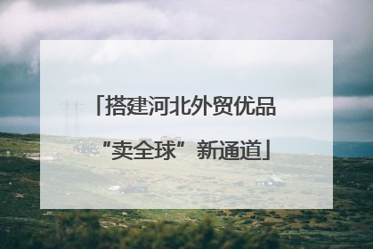 搭建河北外贸优品“卖全球”新通道