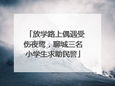 放学路上偶遇受伤夜鹭，聊城三名小学生求助民警