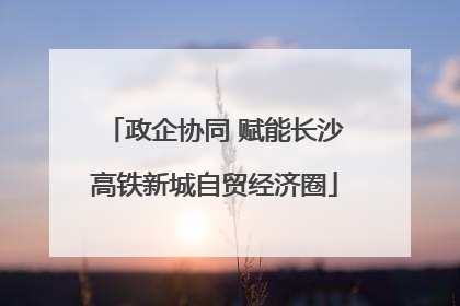 政企协同 赋能长沙高铁新城自贸经济圈
