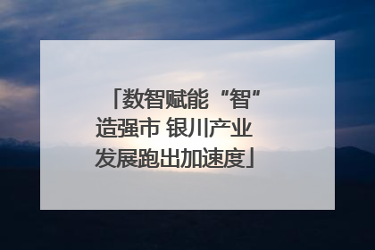 数智赋能“智”造强市 银川产业发展跑出加速度