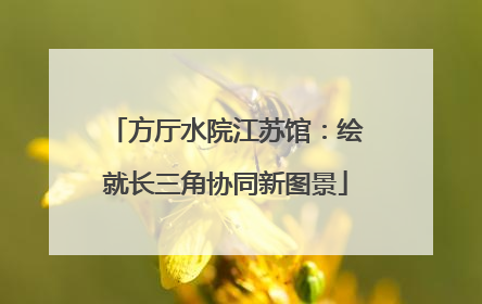 方厅水院江苏馆：绘就长三角协同新图景