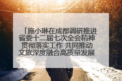 施小琳在成都调研推进省委十二届七次全会精神贯彻落实工作 共同推动文旅深度融合高质量发展 加快打造支柱产业民生产业幸福产业