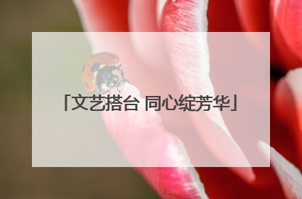 文艺搭台 同心绽芳华