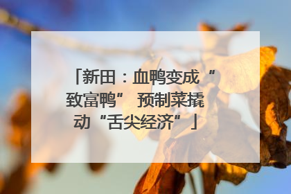 新田：血鸭变成“致富鸭” 预制菜撬动“舌尖经济”