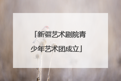 新疆艺术剧院青少年艺术团成立