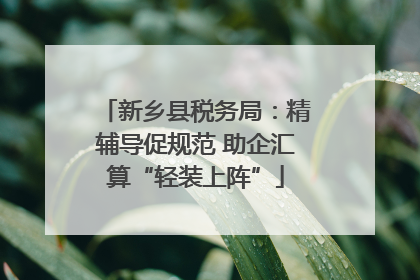 新乡县税务局：精辅导促规范 助企汇算“轻装上阵”