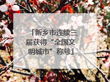 新乡市连续三届获得“全国文明城市”称号