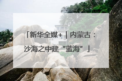 新华全媒+｜内蒙古：沙海之中建“蓝海”