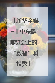 新华全媒+丨中东欧博览会上的“数智”科技秀