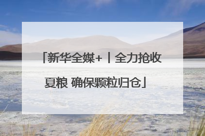 新华全媒+丨全力抢收夏粮 确保颗粒归仓