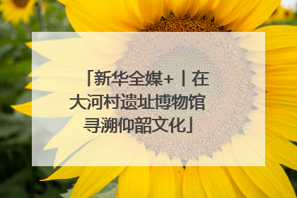 新华全媒+丨在大河村遗址博物馆寻溯仰韶文化