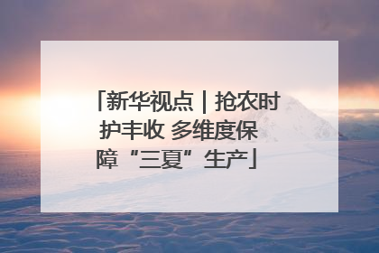 新华视点｜抢农时 护丰收 多维度保障“三夏”生产