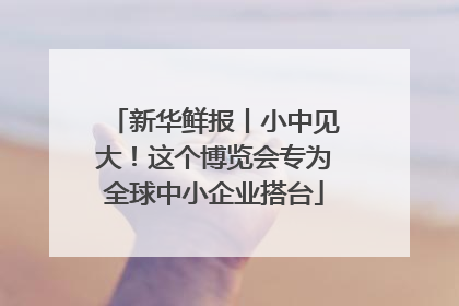 新华鲜报丨小中见大！这个博览会专为全球中小企业搭台
