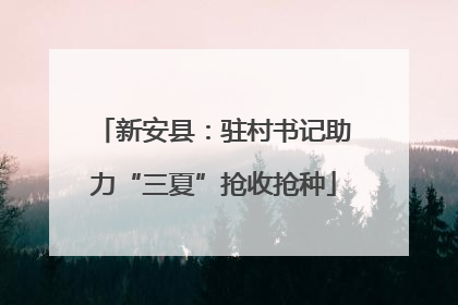 新安县：驻村书记助力“三夏”抢收抢种