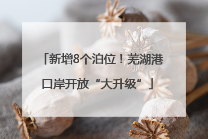 新增8个泊位！芜湖港口岸开放“大升级”