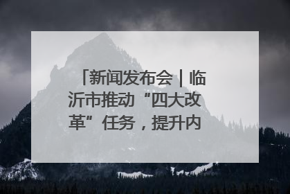 新闻发布会｜临沂市推动“四大改革”任务，提升内部审计监督效能
