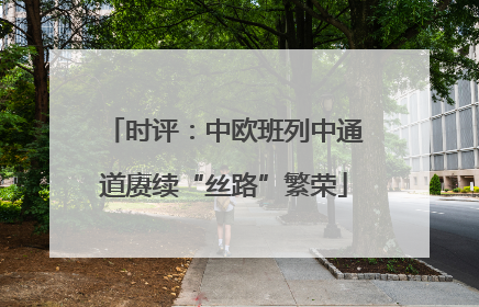 时评：中欧班列中通道赓续“丝路”繁荣