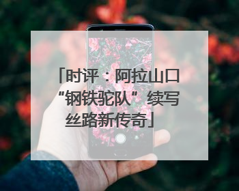 时评：阿拉山口“钢铁驼队”续写丝路新传奇