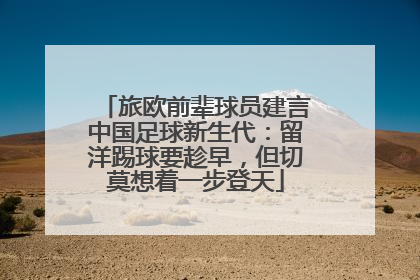 旅欧前辈球员建言中国足球新生代：留洋踢球要趁早，但切莫想着一步登天