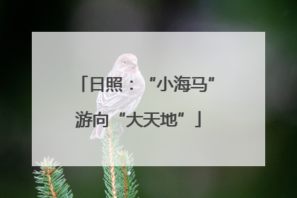 日照：“小海马”游向“大天地”