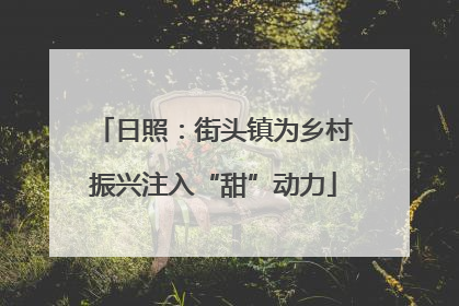 日照：街头镇为乡村振兴注入“甜”动力