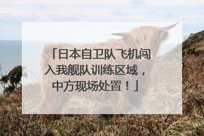 日本自卫队飞机闯入我舰队训练区域，中方现场处置！