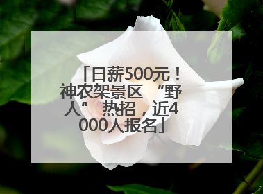 日薪500元！神农架景区 “野人” 热招，近4000人报名