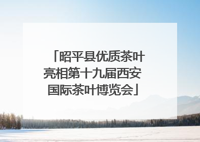 昭平县优质茶叶亮相第十九届西安国际茶叶博览会