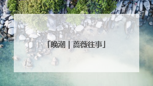 晚潮｜蔷薇往事