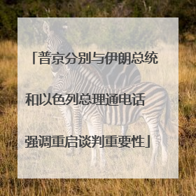 普京分别与伊朗总统和以色列总理通电话 强调重启谈判重要性