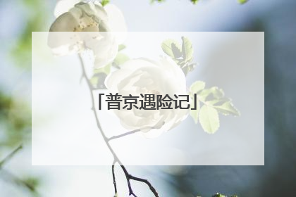 普京遇险记