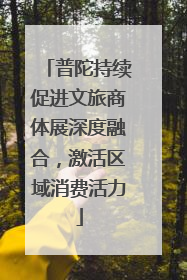 普陀持续促进文旅商体展深度融合，激活区域消费活力